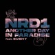 Another Day In Paradise Radio Edit feat Sushy Single