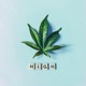 HIGH Single