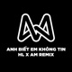 Anh Biết Em Không Tin HL Remix Single