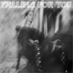 Falling for You Single