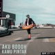 Aku Bodoh Kamu Pintar feat Donny B Dreamwerkz Single