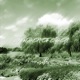 garden of eden feat Akurah Single