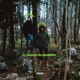 LA FORESTA DI SHERWOOD