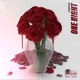 One Night Single