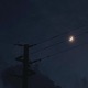 Dreams of Work Are Nightmares Single