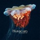 Seacoast EP