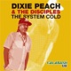 The System Cold Single