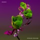 Hurt Me Again SteezyDJ Remix Single