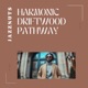 Harmonic Driftwood Pathway EP