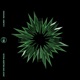 Caliber High Concept Remix Single
