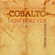 Now Forever Pleiadi Remix Single