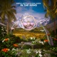 In the Arms Single