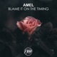 Blame It On The Timing Single