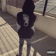 Jacket Jackin Single