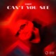 Can t You See Single