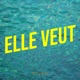 Elle veut Single feat Ali B Mig milli Single
