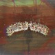 QUIERO VERTE feat jaybeegng Single