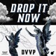 Drop It Now Single