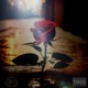 Concrete Roses Single