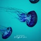 Jellyfish Jive Single