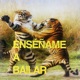 ENSEN AME A BAILAR Single