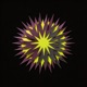 Static Bloom Single