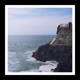 Survivor Single
