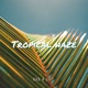 Tropical Haze Single