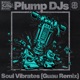 Soul Vibrates Guau Remix Single
