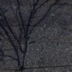 what do you see Single
