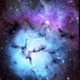 Star Gazing