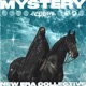 MYSTERY New Era Collective Single New Era Collective Single Single