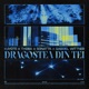 Dragostea Din Tei Single
