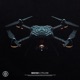 Cyclone Single