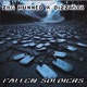 Fallen Soldiers Single