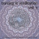 Turning in Meditation Vol 2