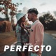 Perfecto Single