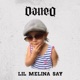 Lil Melina Say Single