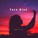 Tere Bina feat SB Single