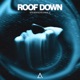 Roof Down Extended Mix Single