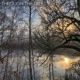 Through the Trees EP
