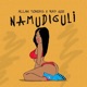 Namudiguli feat Allan Toniks Remix Single