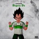 VEGETA DZ Single