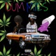 Dummies feat W S S Raid Single