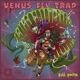 Venus Fly Trap Single