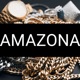 AMAZONA Single
