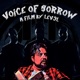 Voice of Sorrow Single