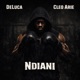NDIANI feat Cleo Arie Single