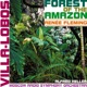 Villa Lobos Forest of the Amazon