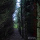 Blood Oath EP